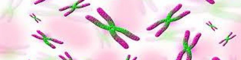 Estado del avance en Europa de las terapias genéticas para las enfermedades raras.